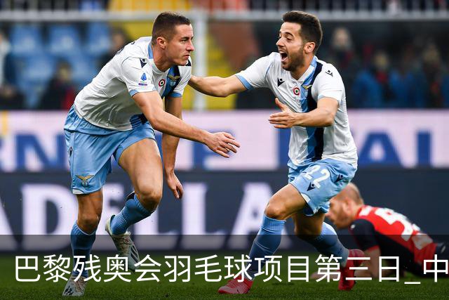 巴黎残奥会羽毛球项目第三日 中国队取得13胜3负